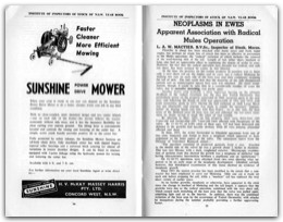 1955 Page 34 35